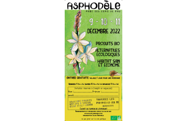 Salon Asphodèle Pau